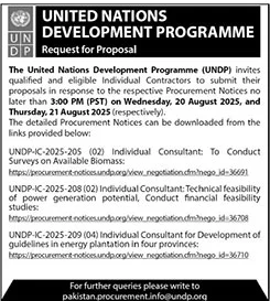 United Nations Development Tender Notice